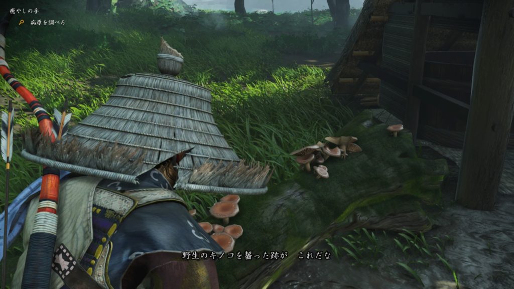 ゴーストオブツシマ　癒しの手（浮世草）毒の原因はきのこ？