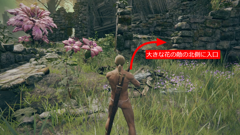 エルデンリングかぼちゃ兜の狂兵の画像3