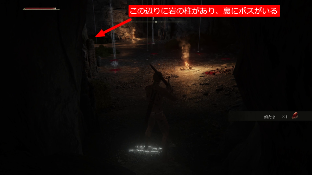 エルデンリング海岸の洞窟の画像6