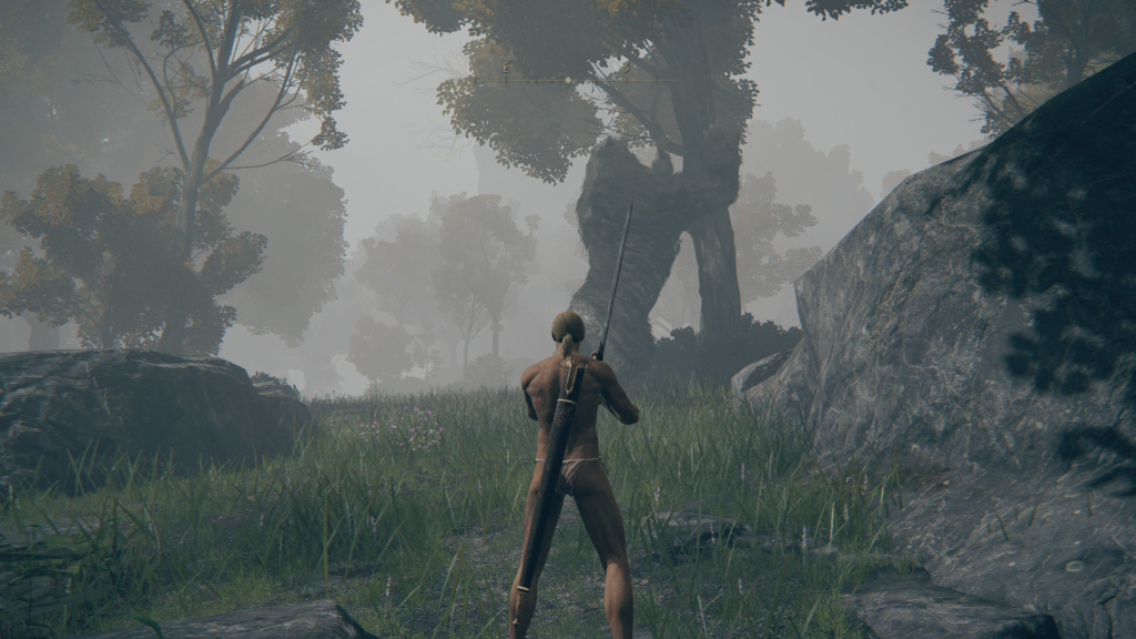 エルデンリング曇り川の洞窟の画像9