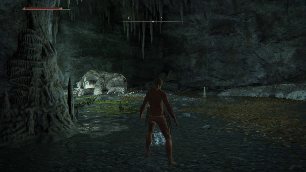 エルデンリング穴下りの洞窟の画像5