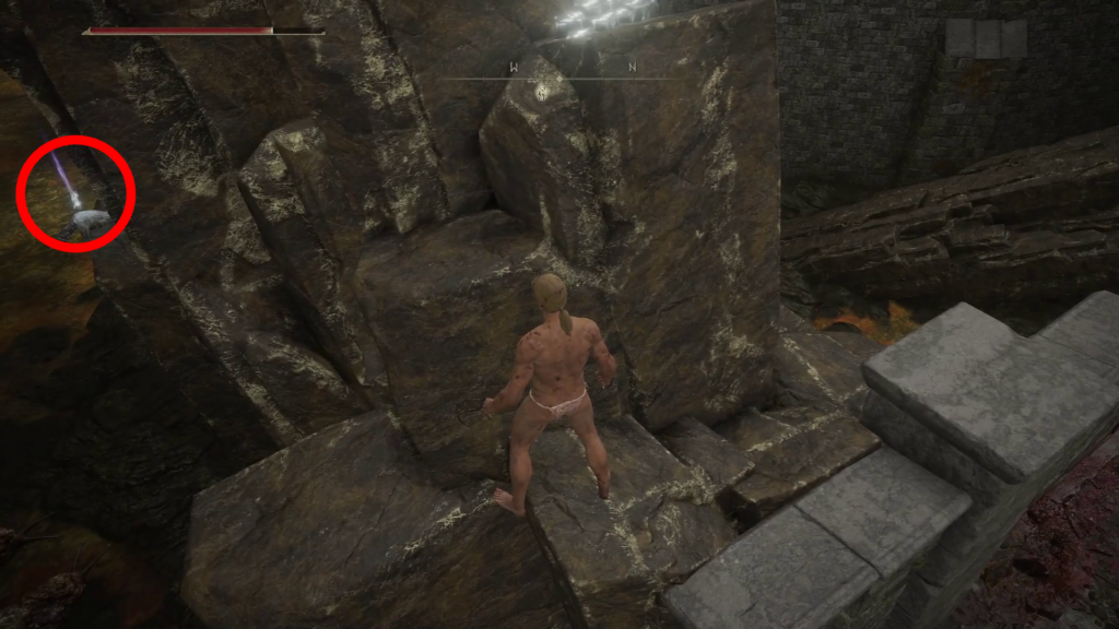 エルデンリング日陰城の画像7