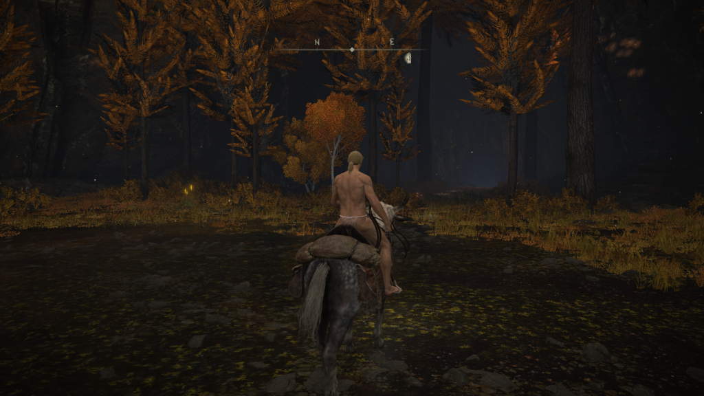 エルデンリング賢者の洞窟の画像3