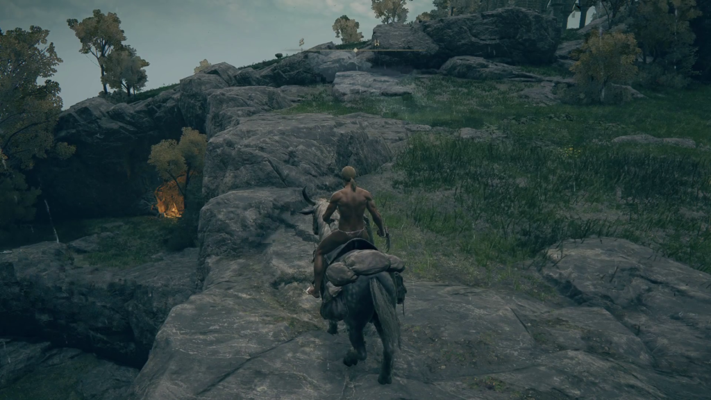 エルデンリング霊廟ヶ原の洞窟の画像3