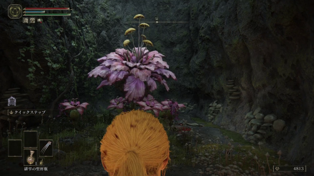 エルデンリング霊廟ヶ原の洞窟の画像4