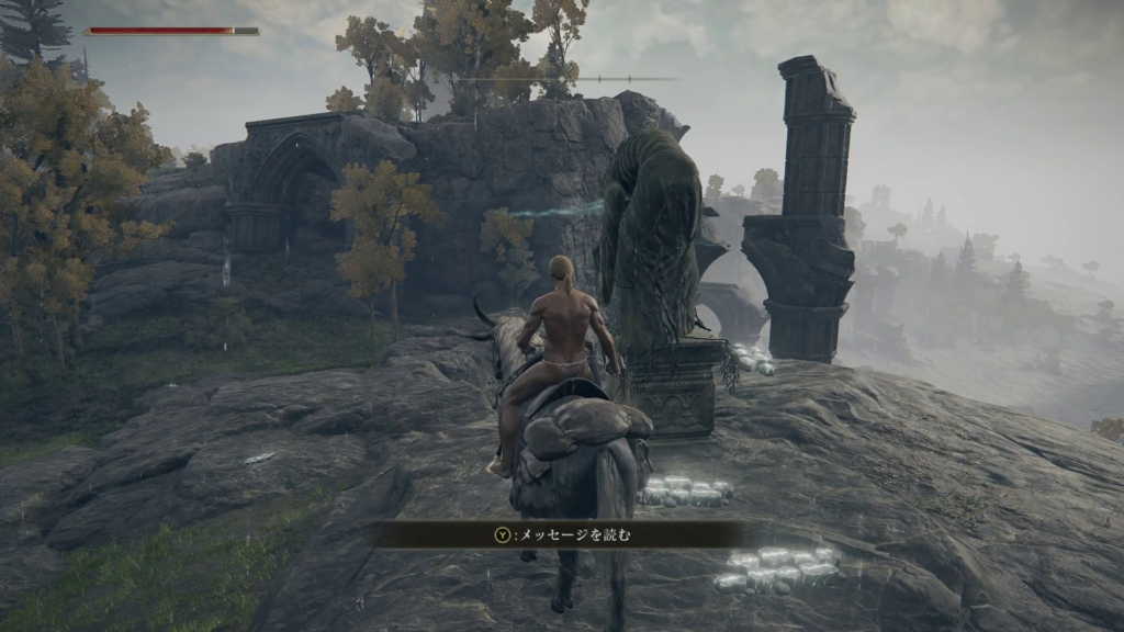 エルデンリング霊廟ヶ原の地下墓の画像3